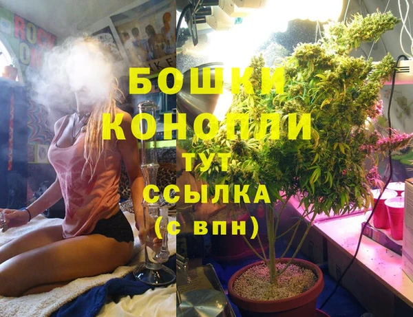 дживик Балахна