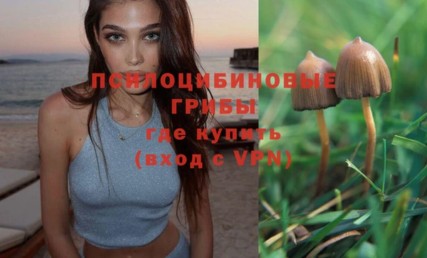 дживик Балахна